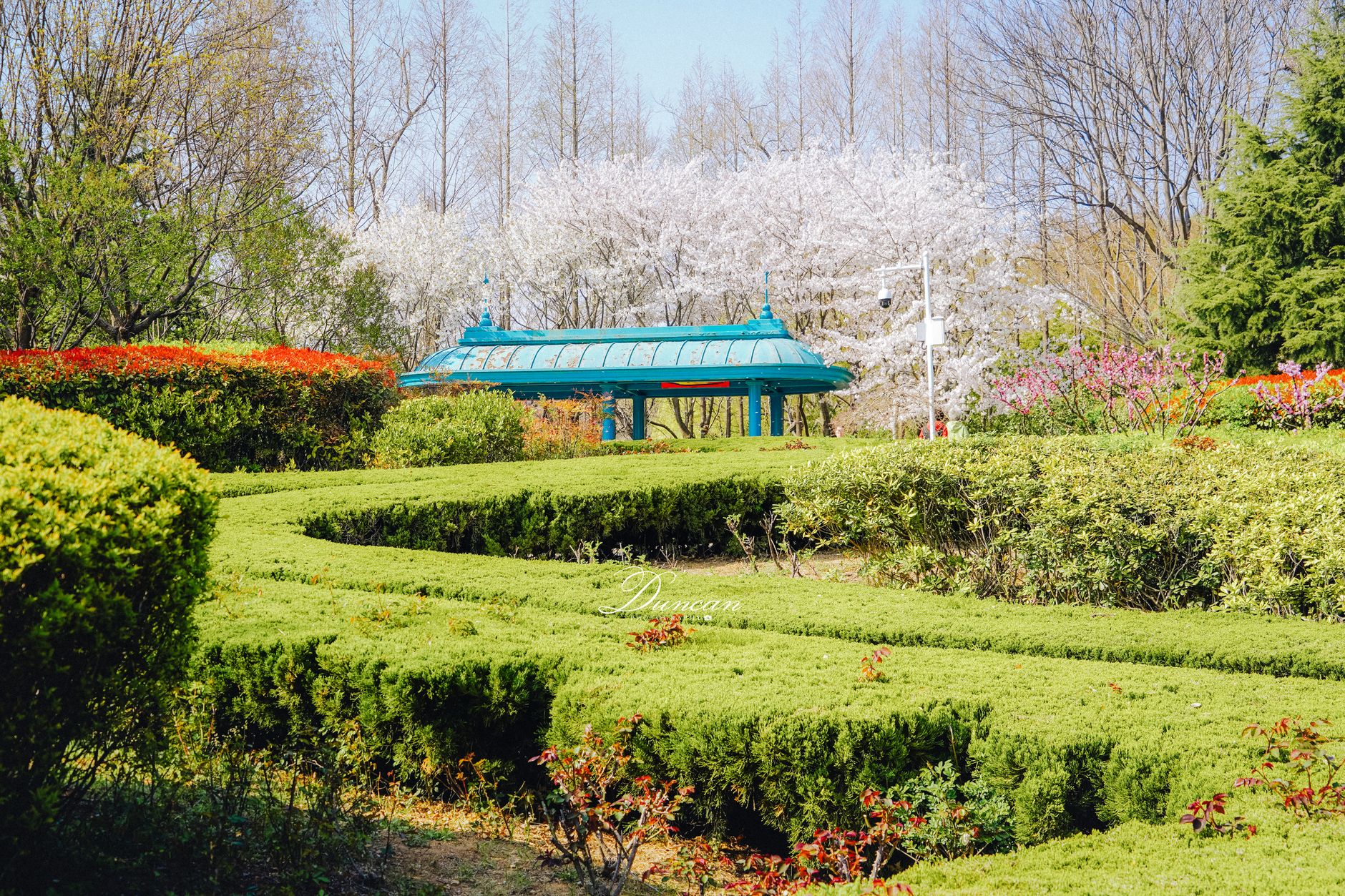 Geumgang Arboretum reopening: The Best New Facilities to Explore